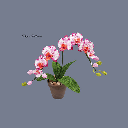 Realistic crocheted moth orchid flowers and leaves in a potted arrangement