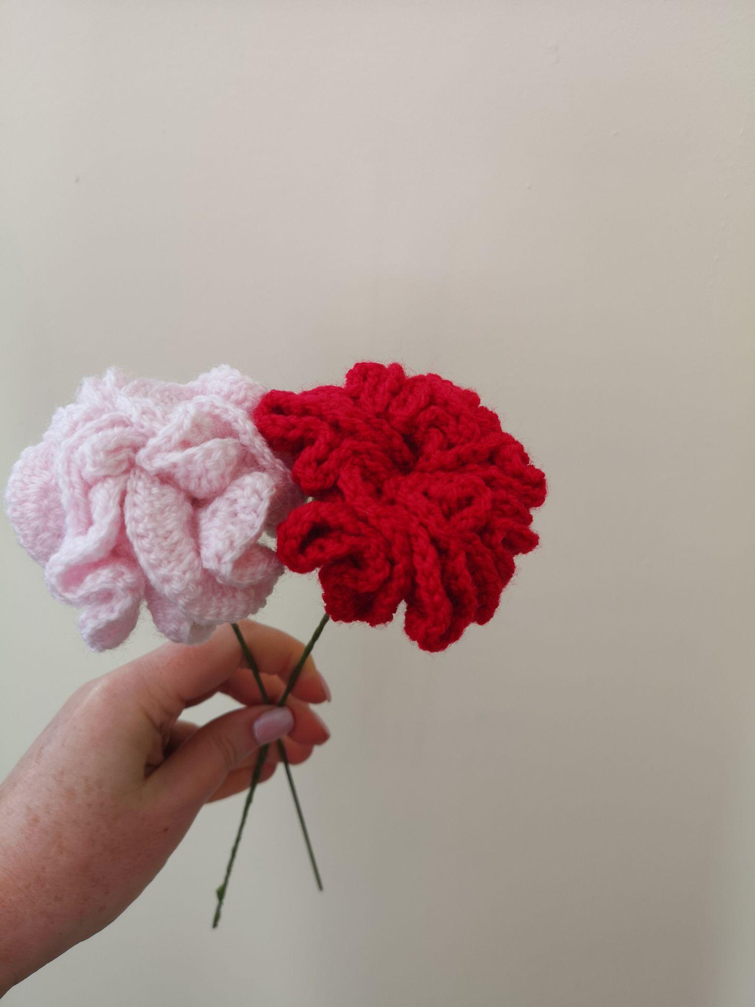One pale pink and one red crochet carnation showing different petal shapes
