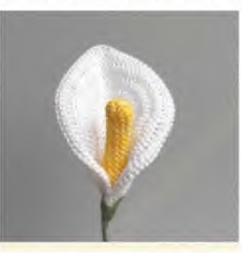 White crochet calla lily with a yellow center