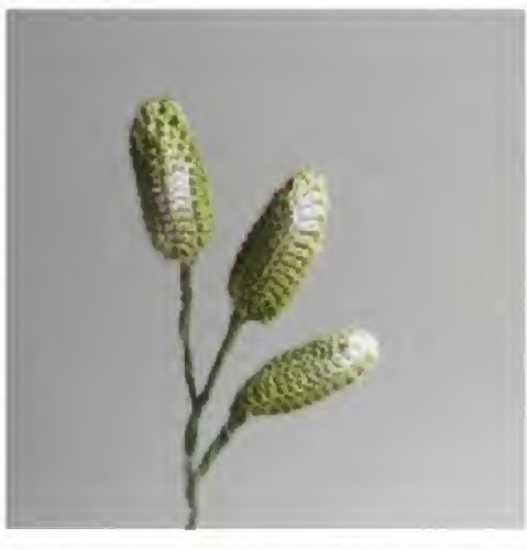 Three closed green crochet buds arranged on a wire branch