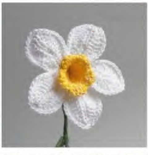 White five-petal crochet daffodil with a yellow trumpet center