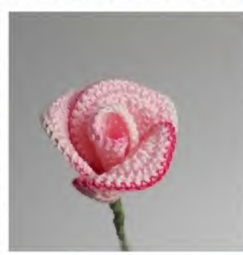 Pink crochet little rose with an open outer petal layer