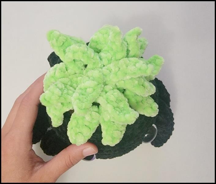 Crochet spider pot topped with a spiral of light green succulent leaves