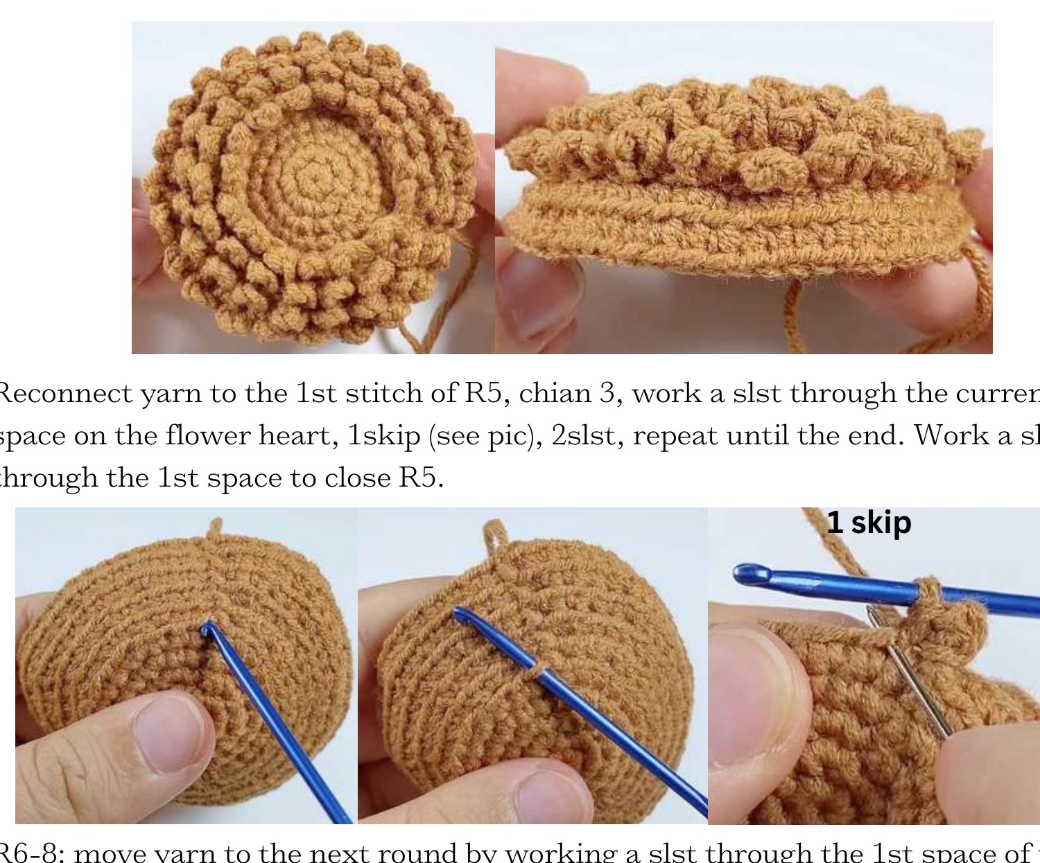 Source seed-loop placement on the crochet sunflower center