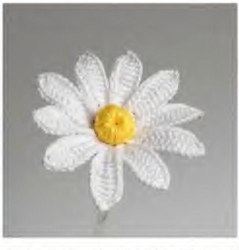 White crochet daisy with ten long petals and a yellow button center