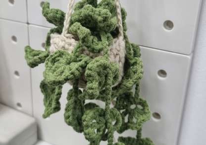 Finished crochet trailing leaf hanging plant