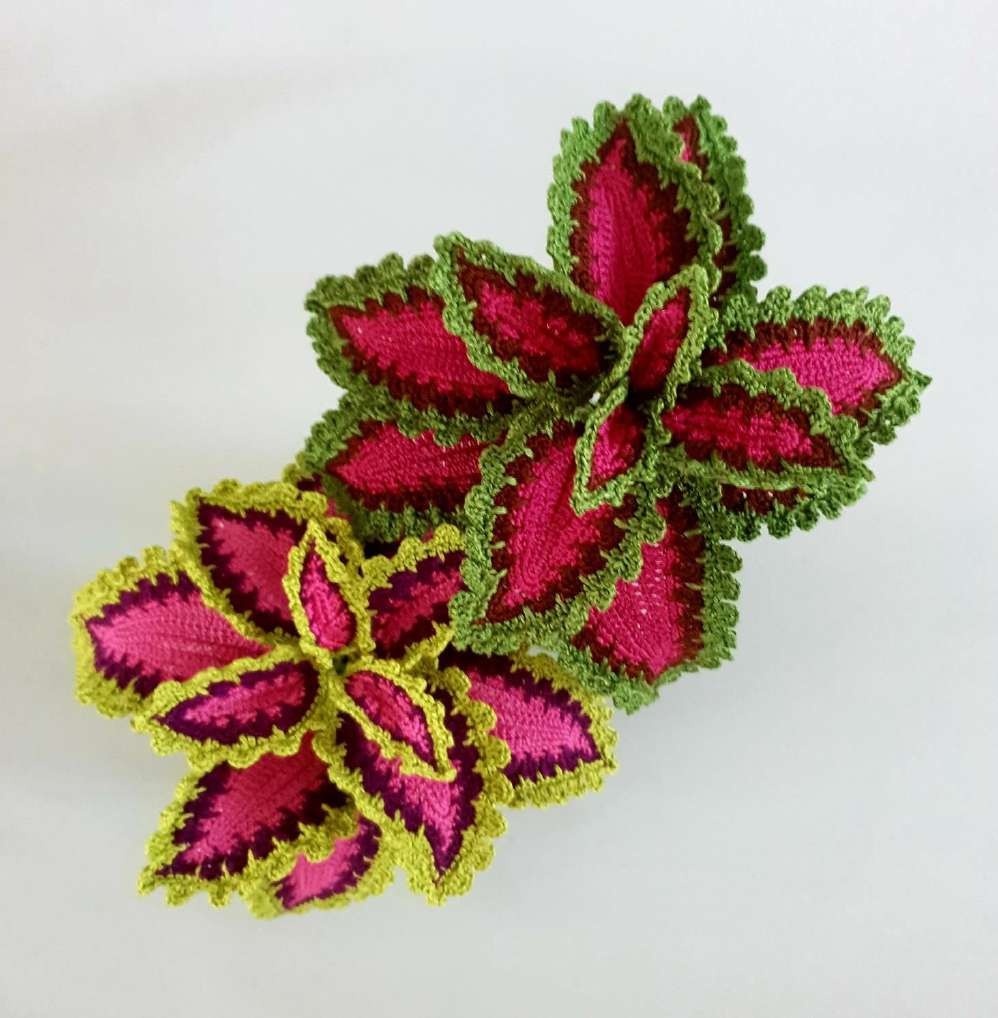 Finished crochet watermelon coleus plant