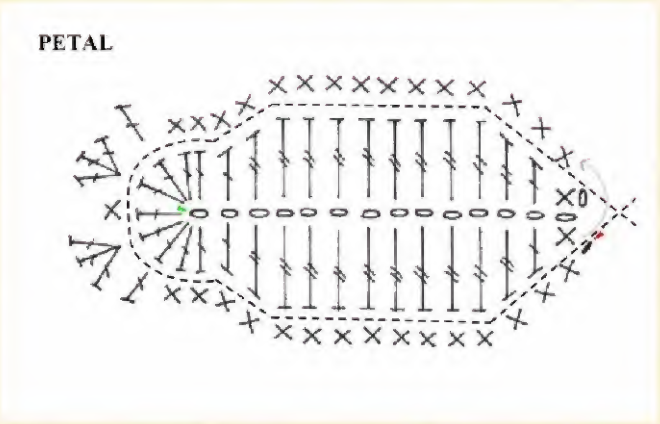 Original oval stitch chart for a crochet tulip petal with a pointed tip