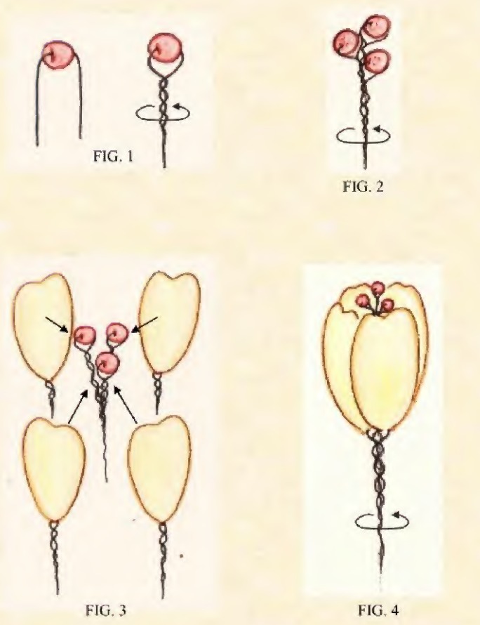 Original drawings for adding four crochet tulip petals around three beaded stems