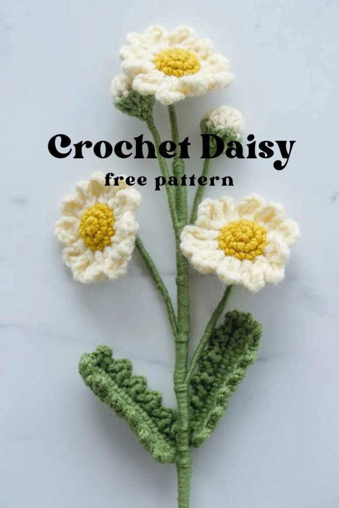 Stemmed Daisy with Buds and Leaves crochet design by Hookok